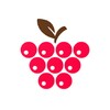 OPlayer Lite